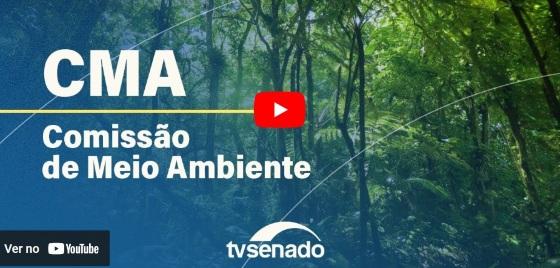 senado 