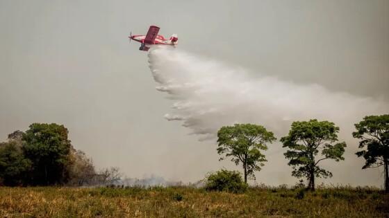 Bombeiros combatem incêndios no Pantanal de MT