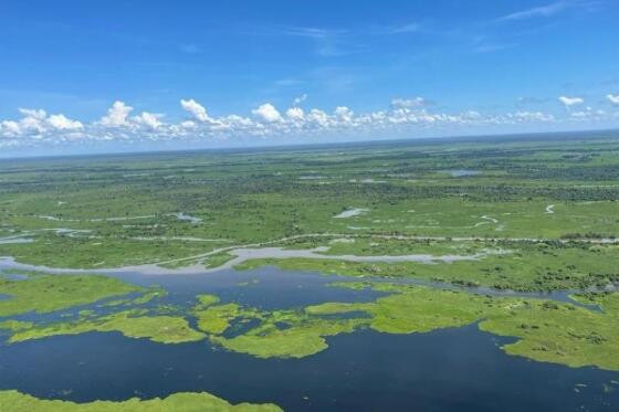 PANTANAL