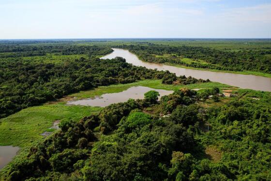 Pantanal MT