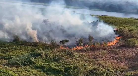 Focos de incêndio no Pantanal