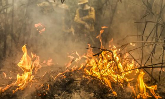 Focos de incêndio no Pantanal