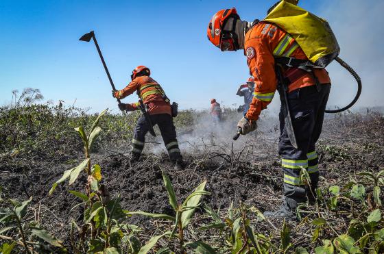 Bombeiros na região de Água Fria