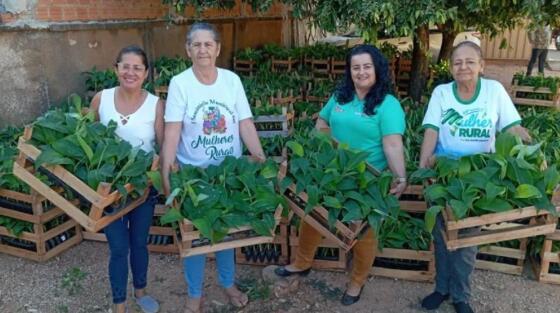 Mulheres da Ampafad com mudas de banana recebidas da Seaf