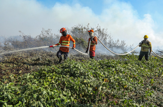 Combate à incêndios no Pantanal