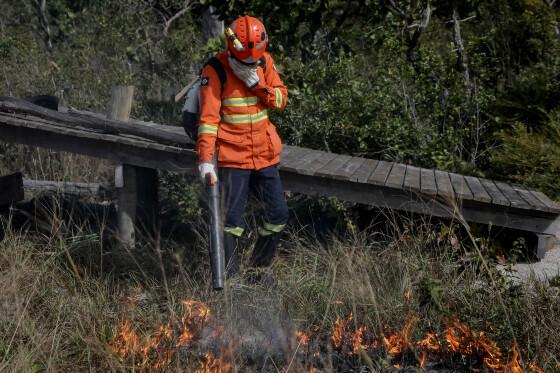 Bombeiros