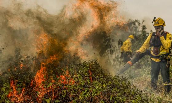 Bombeiros