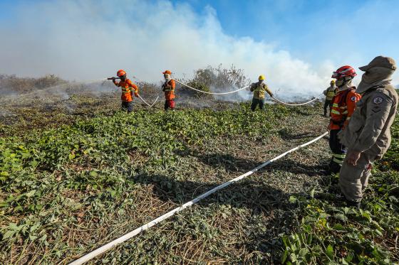 Combate à incêndios no Pantanal