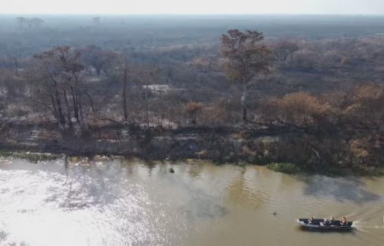 Seca no Pantanal