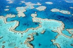 Acidez dos oceanos ultrapassa limite de equilíbrio planetário